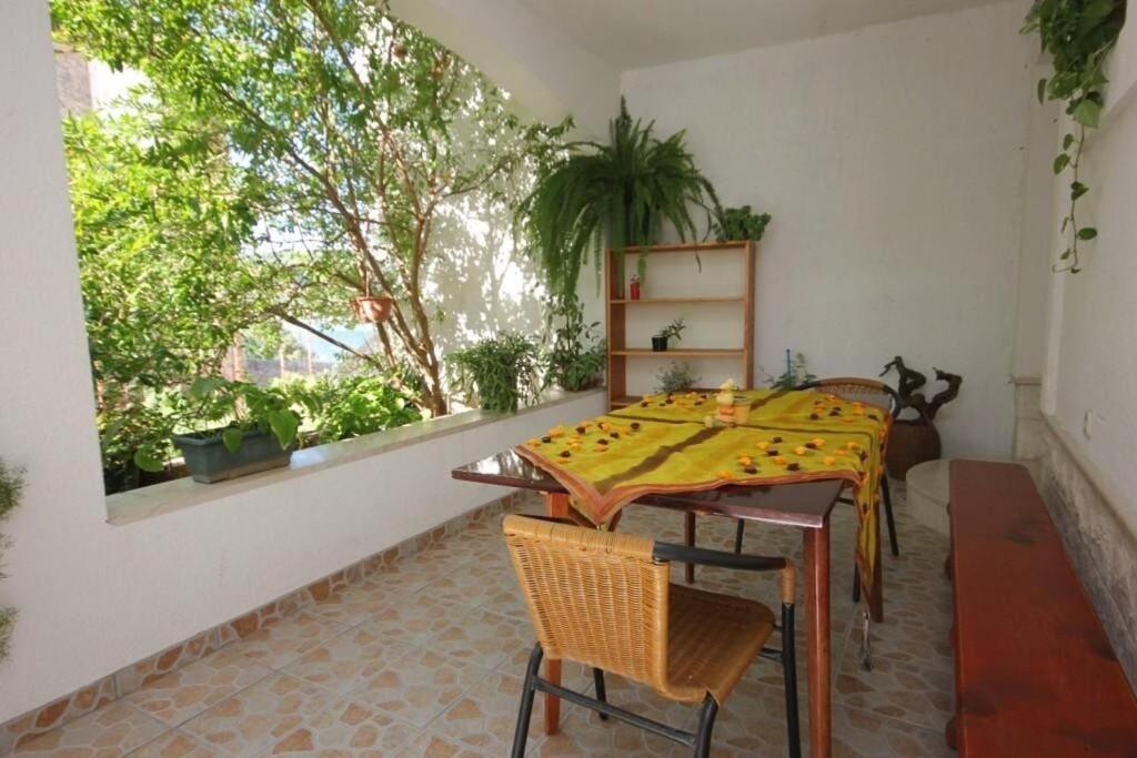 Apartments Zoki - Great Location Close To The Sea 维斯 外观 照片
